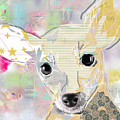 Chihuahua Collage