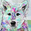 White Shepherd