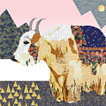 Tibet Yak Collage
